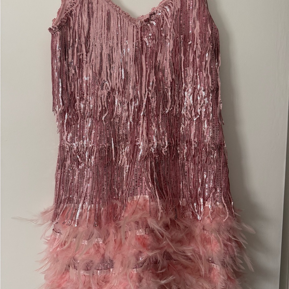 Pink Sequin and Feather Dress